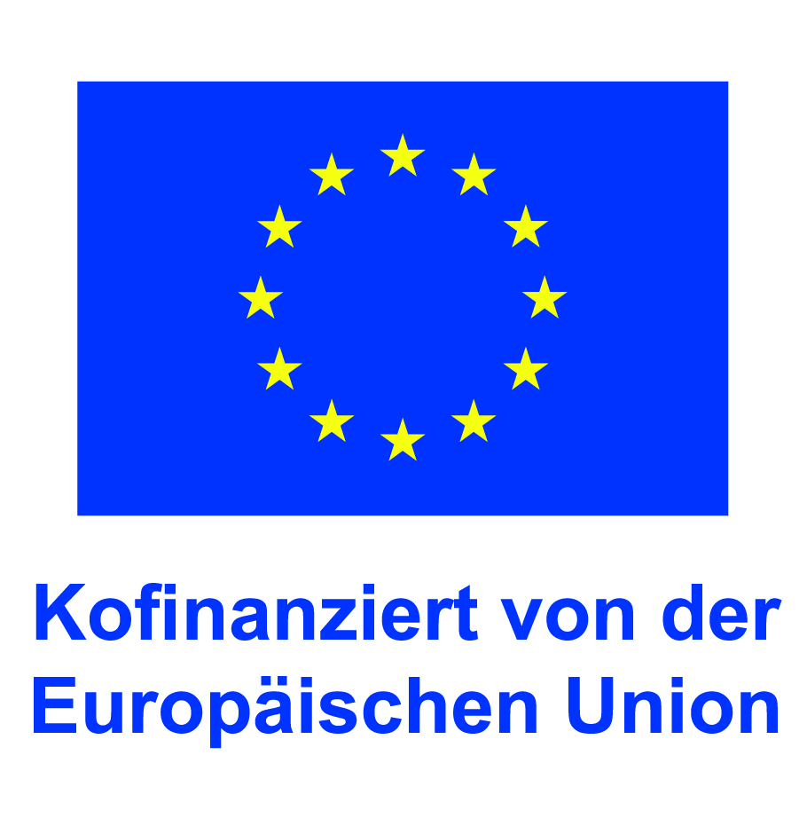 DE-V-Kofinanziert-von-der-Europaeischen-Union_POS